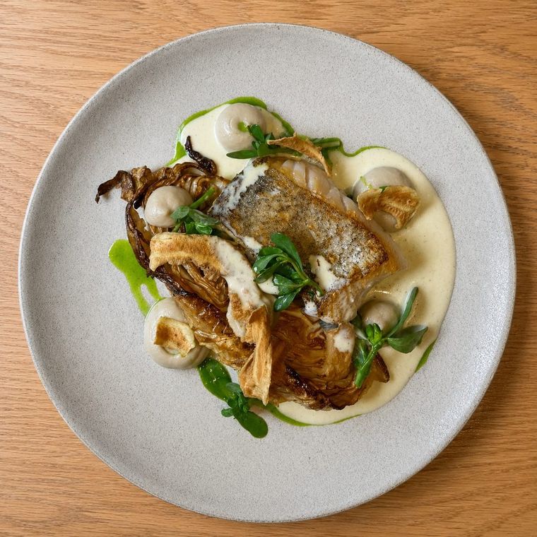 Poisson du jour, chou pointu & sauce moule